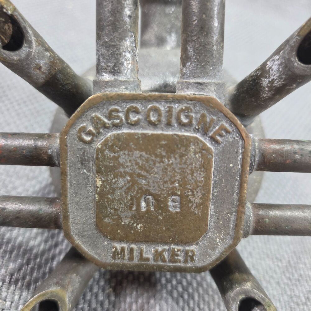 Antique Gascoigne Milker Brass Milking Machine Claw Farm Dairy Collector Piece